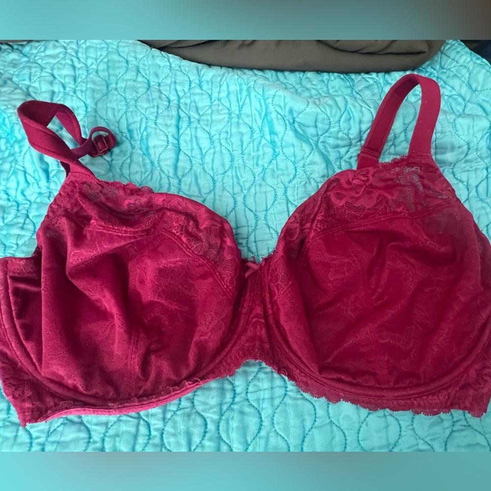 Cacique Pink Lace Full Coverage Bra